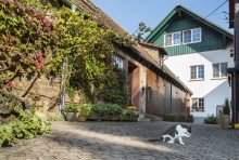 Katzen leben auch hier gut Hofreite Forsthaus-Ensemble im Odenwald +VERKAUFT+