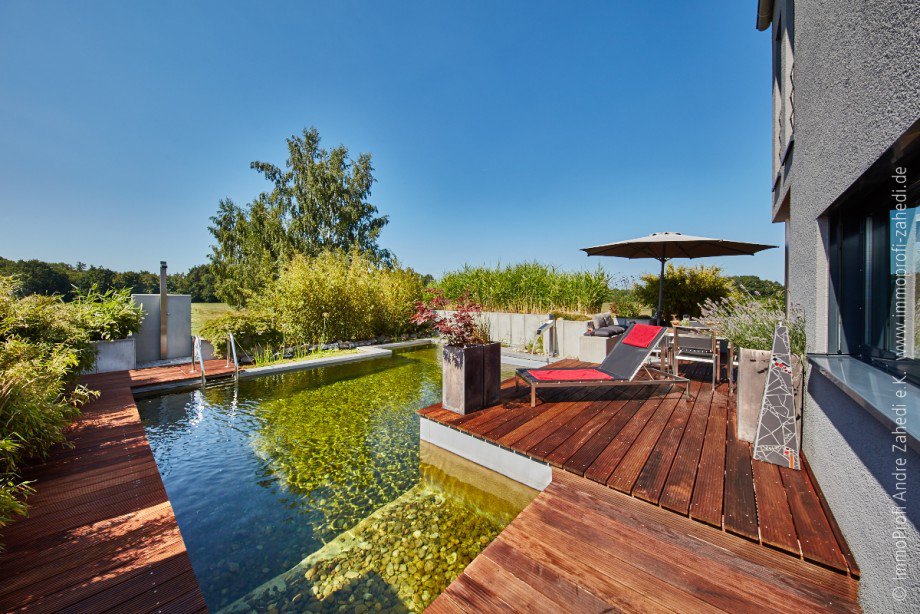 Glasklarer Naturteich Einfamilienhaus Dieburg