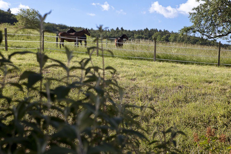 Blick vom Haus Einfamilienhaus M�hltal
