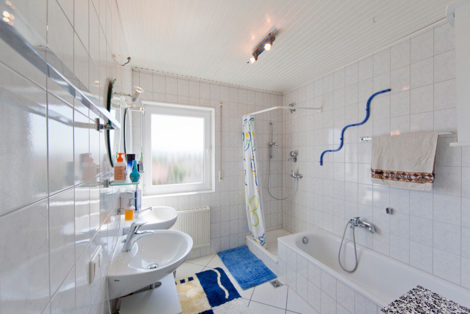 Tageslichtbad Dachgeschosswohnung Lorsch