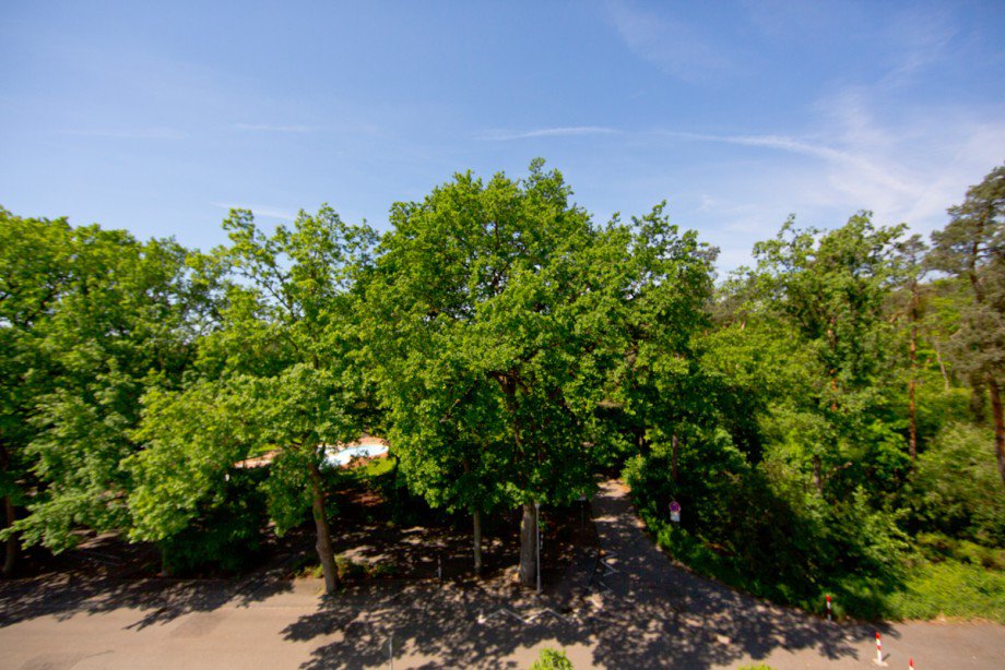 Blick von der Loggia Dachgeschosswohnung Lorsch