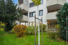 Blick 2 Terrassen 5-Zimmer-ETW mit Terrasse in Darmstadt an der Mathildenh�he