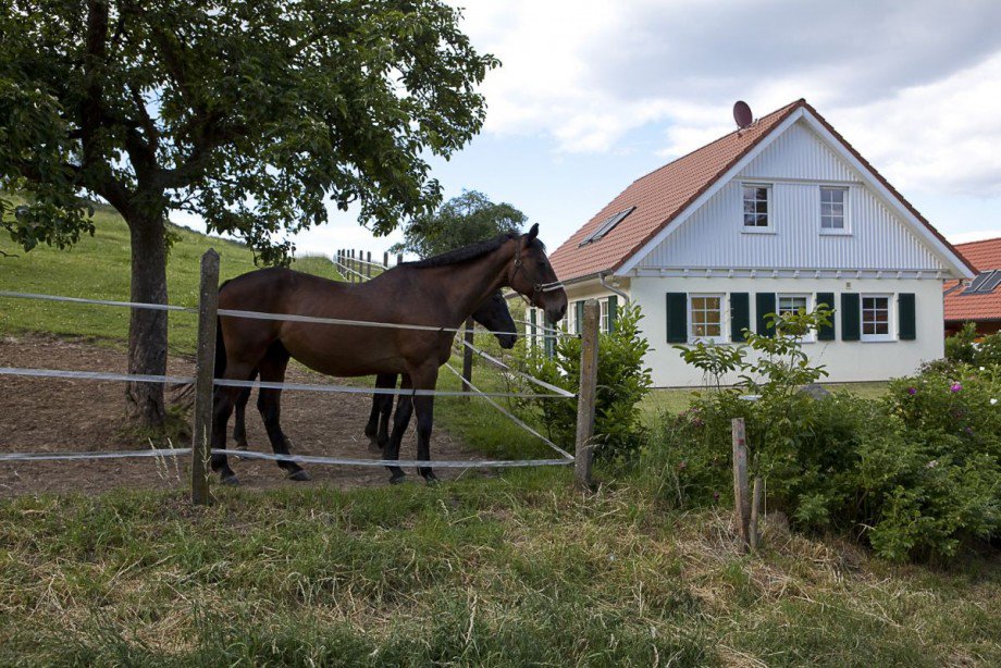 Pferdeliebhaber? Einfamilienhaus M�hltal