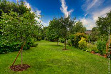 Urlaub im eigenem Garten Charmantes freistehendes Einfamilienhaus in Ro�dorf +VERKAUFT+